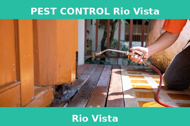 PEST CONTROL Rio Vista